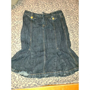 Devoted A-Line Skirt Women's 26 Denim Pleated Front Flared Comfort Casual (AAA)